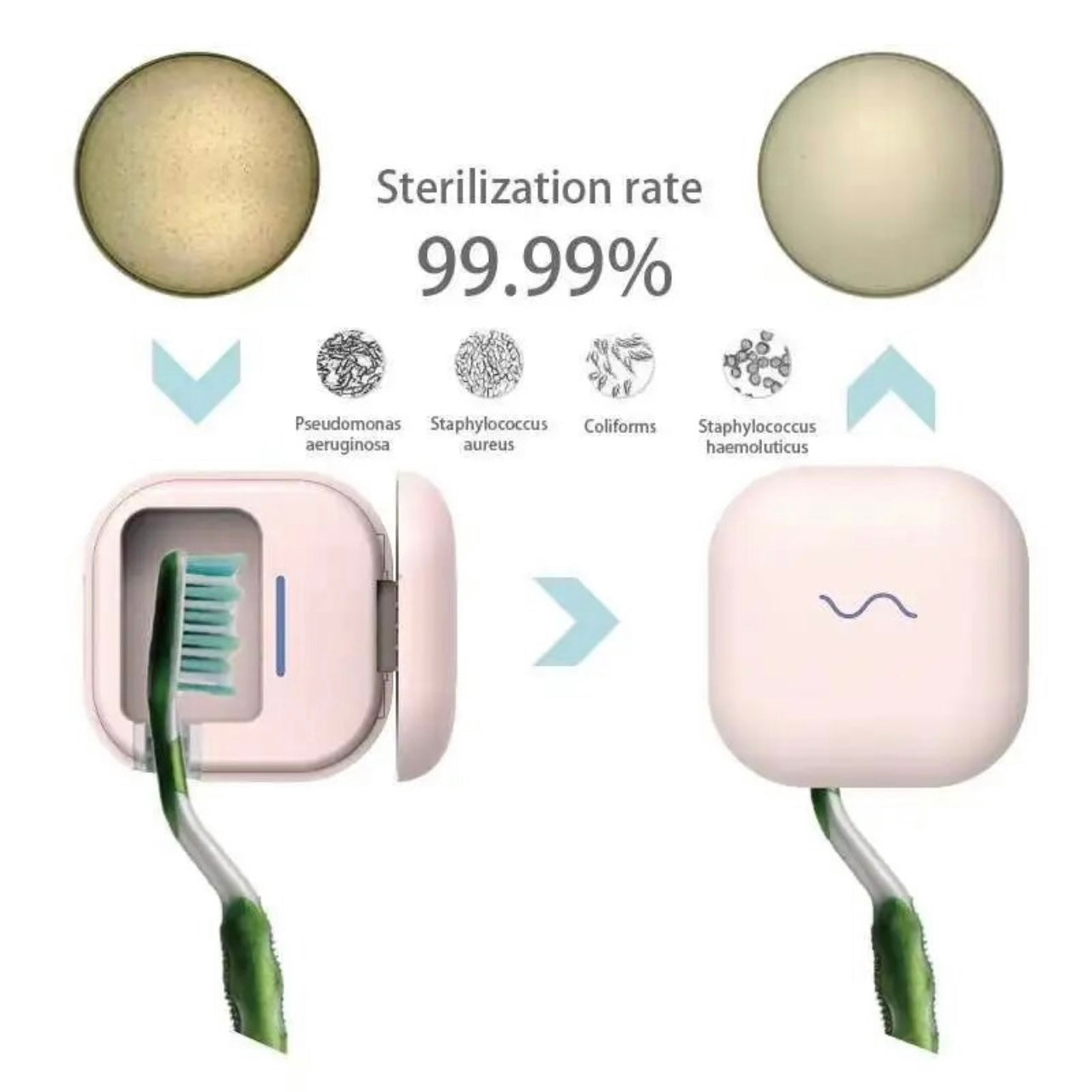 Germ Guard - UV Toothbrush Steriliser